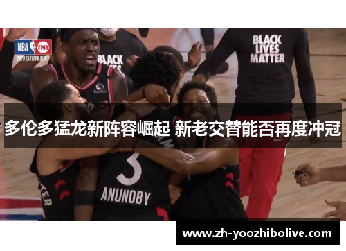 多伦多猛龙新阵容崛起 新老交替能否再度冲冠